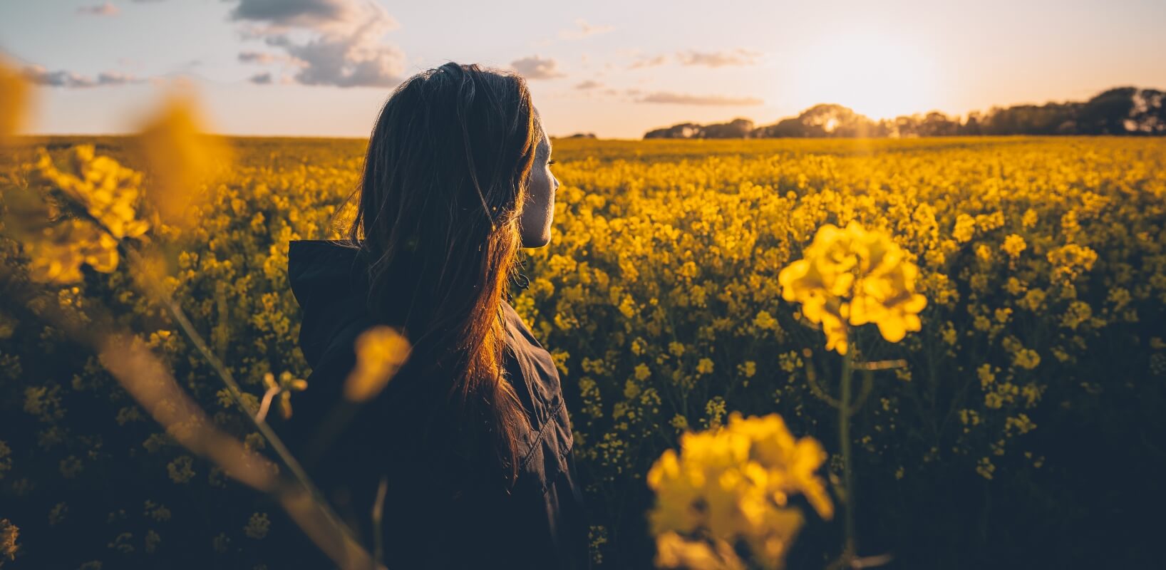 業務内容のイメージ