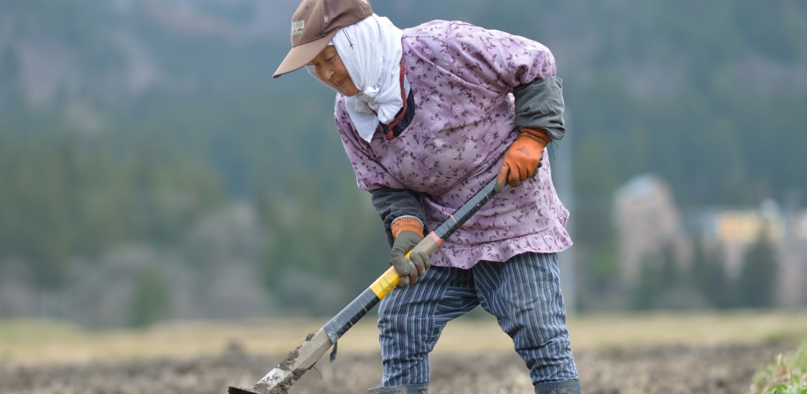 業務内容のイメージ
